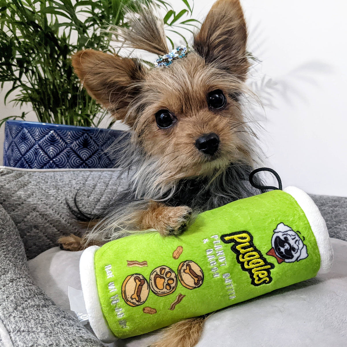 Puggles Can For Dogs: Small