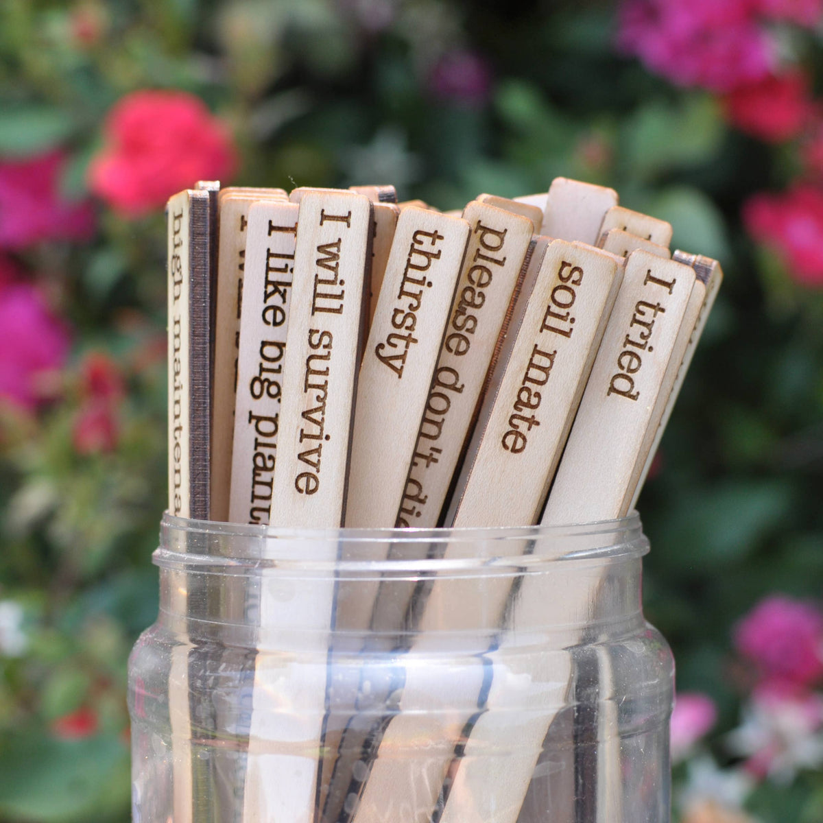 Punny Plant Markers - Spring and Summer Garden and Plants: