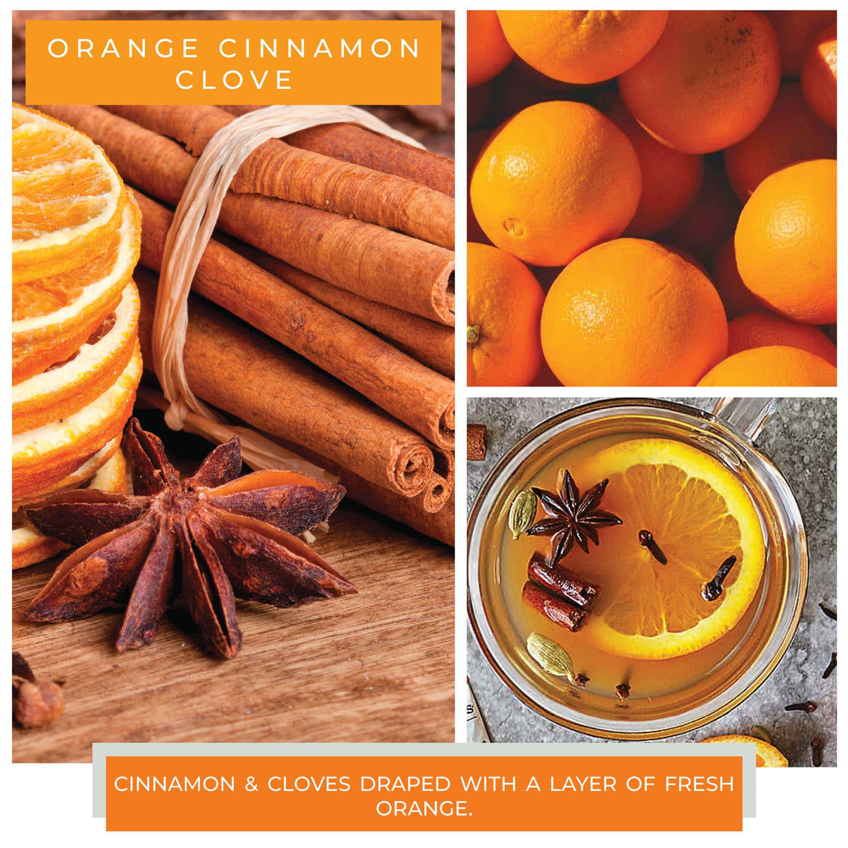 Orange Cinnamon Clove KOTL Papa Candle (34oz.) – Orange Cinnamon Clove