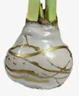 Double White Amaryllis Flower Gold Lacquer Splatter