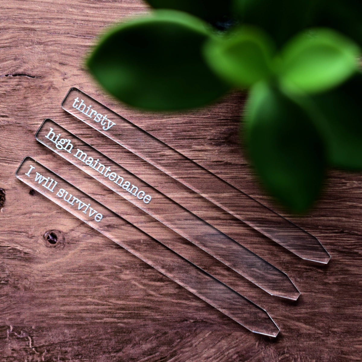 Punny Plant Markers Set of 3 - Pots and Plants - Gardening