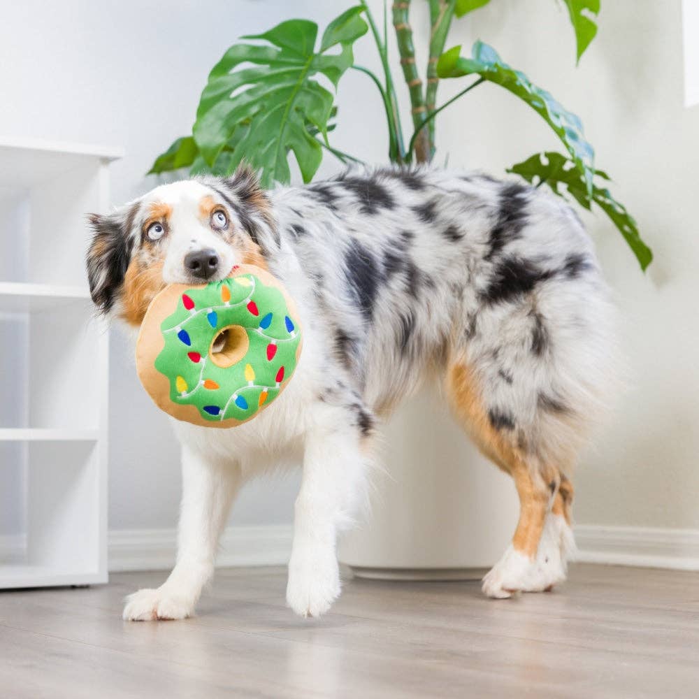 Lit Donut For Dogs: Large