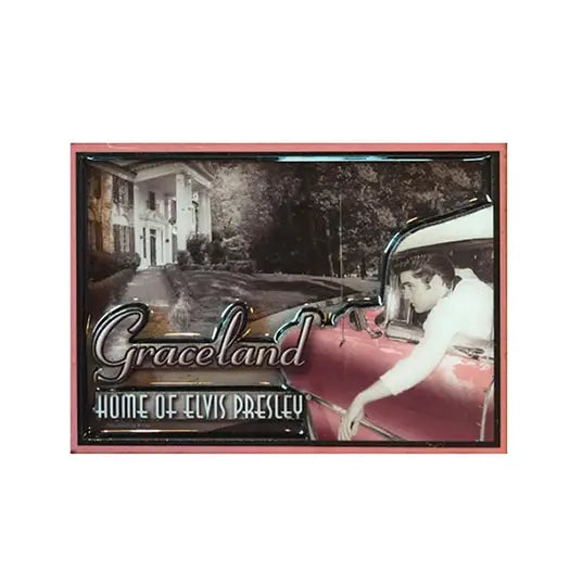 Elvis Magnet 3D - In Car at Graceland