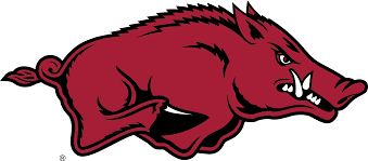 Arkansas (U. of), Tusk the Razorback Knottie® Plush Dog Toy: Large