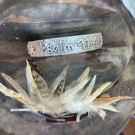 "Psalm 91:4" Burnished Silver Tone Bangle
