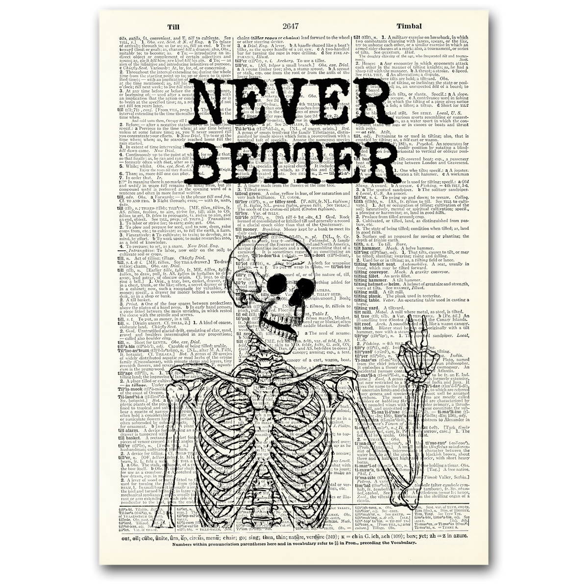 Art Print | Dictionary Page | Vintage | Never Better