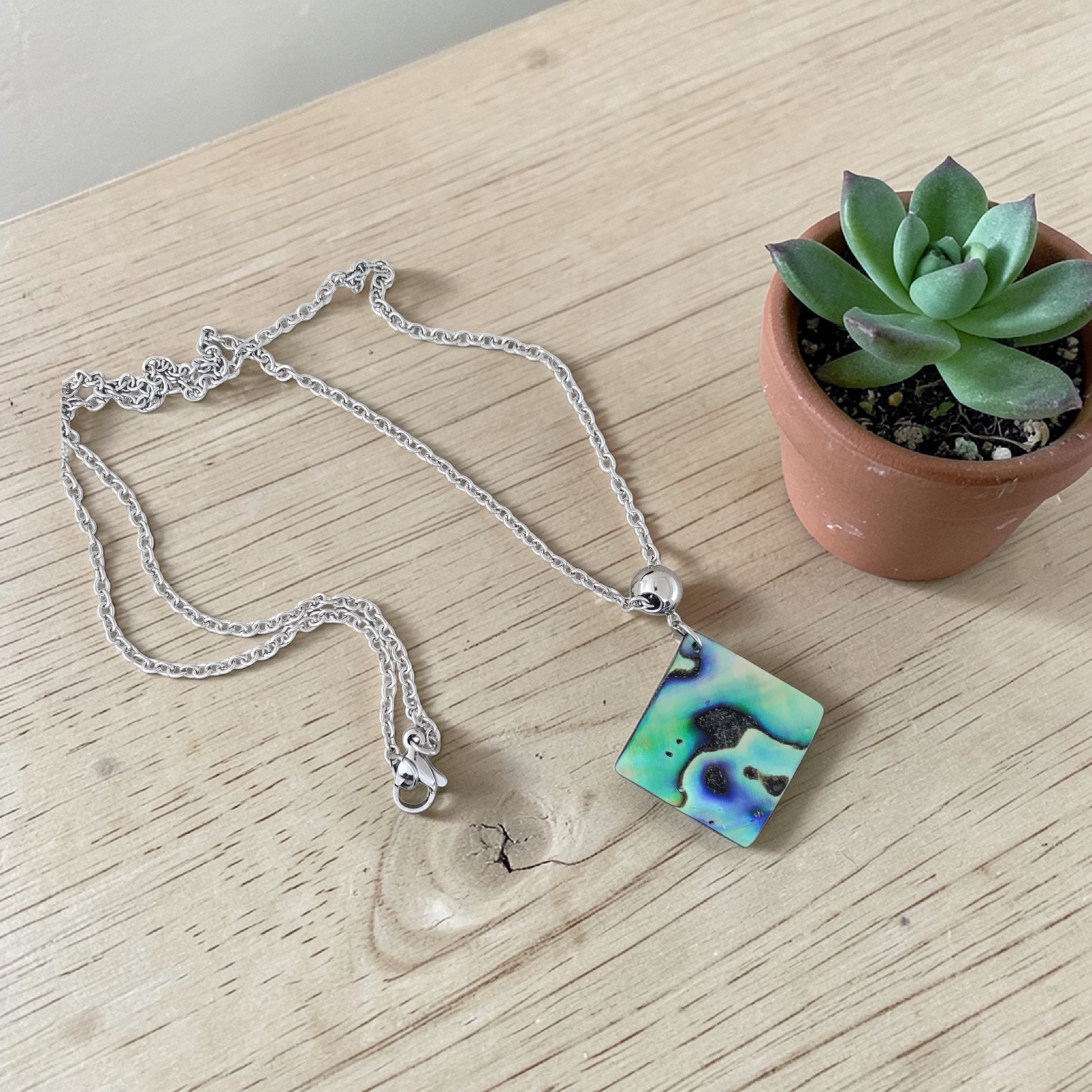 Abalone Shell & Stainless Necklace