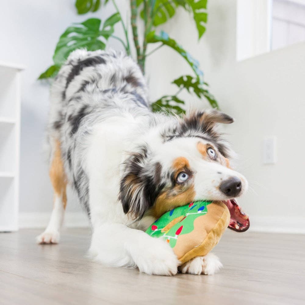 Lit Donut For Dogs: Large