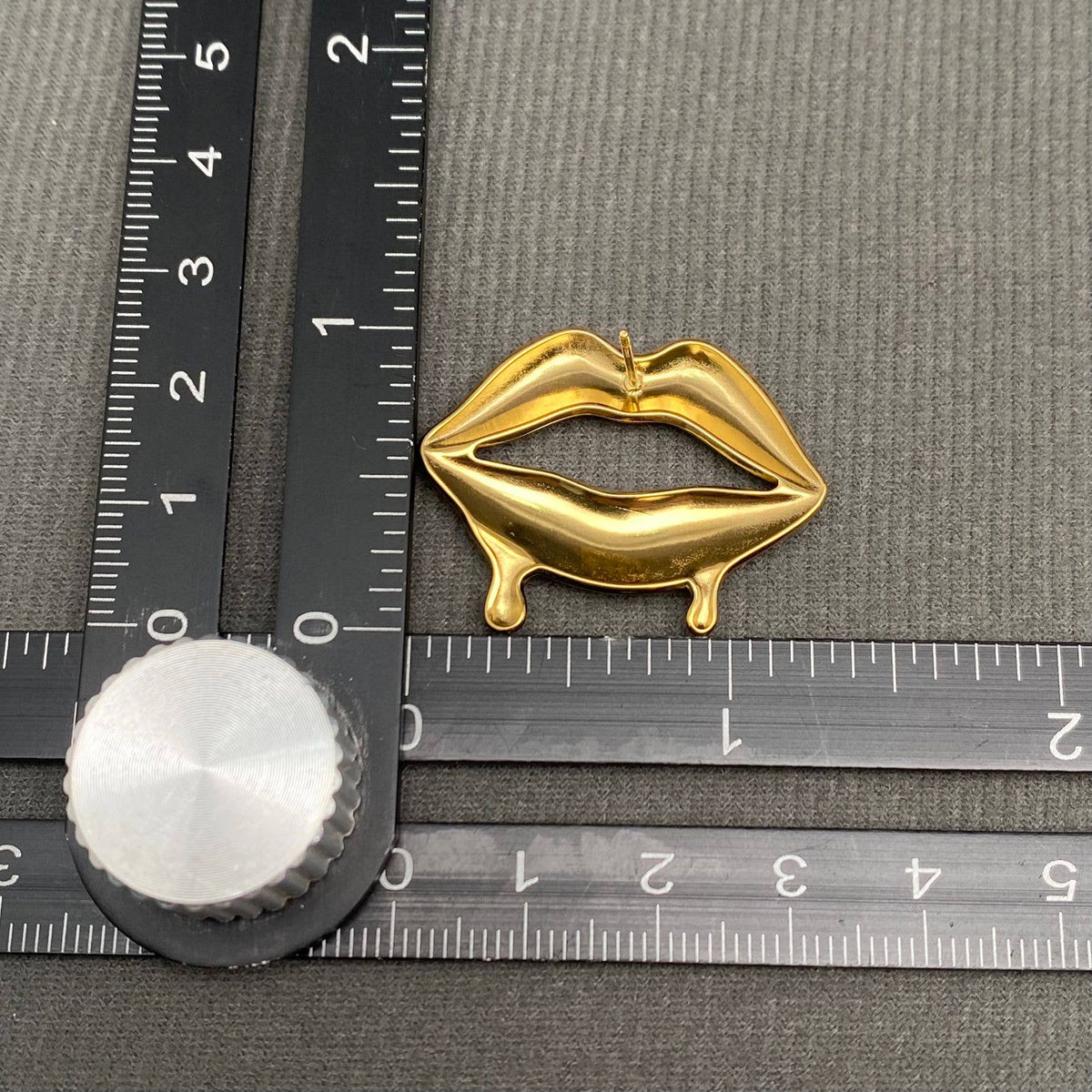 Glossy Lips Design 18K Gold Plated S.Steel Earrings - FGS