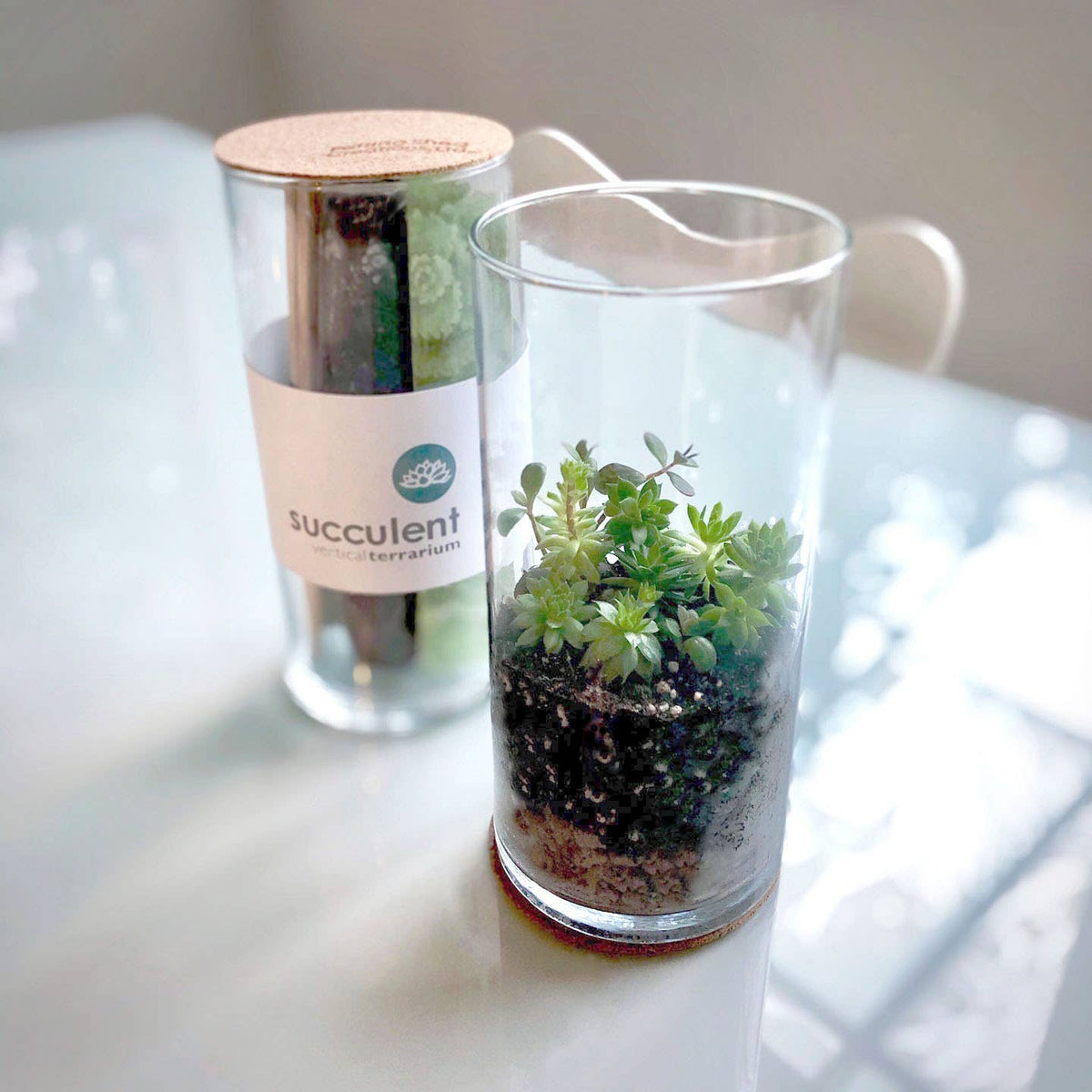 Vertical Succulent Terrarium | Gift Idea: Vertical Terrarium