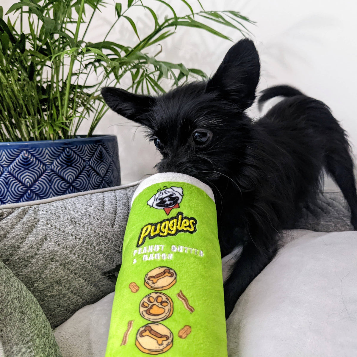 Puggles Can For Dogs: Small