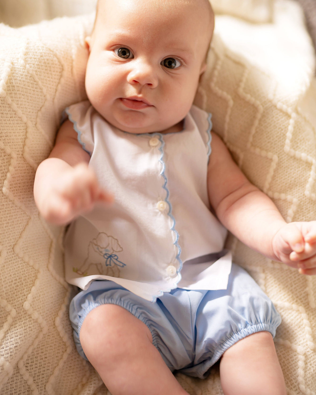 Diaper Cover Set: Blue Lamb: 3m