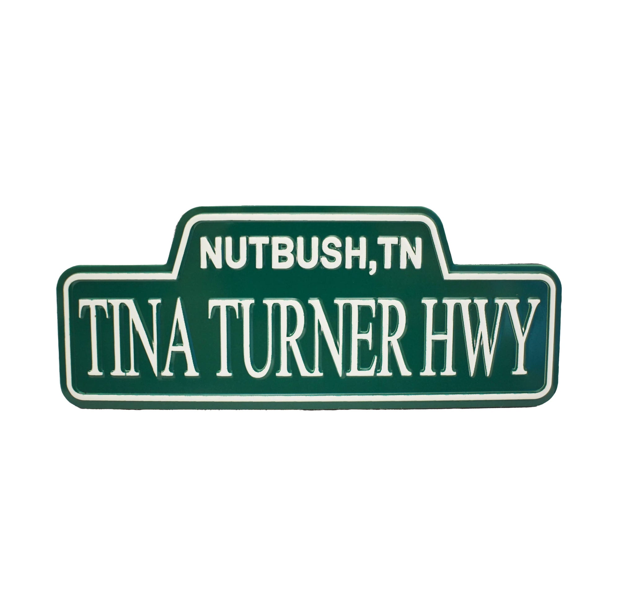 Tina Turner Hwy Magnet
