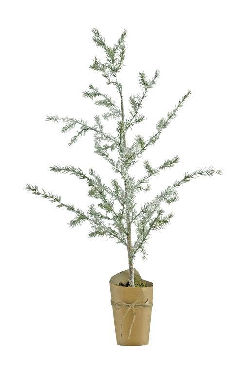 Mini Spruce Pine Tree in Pot, 41.30", Green