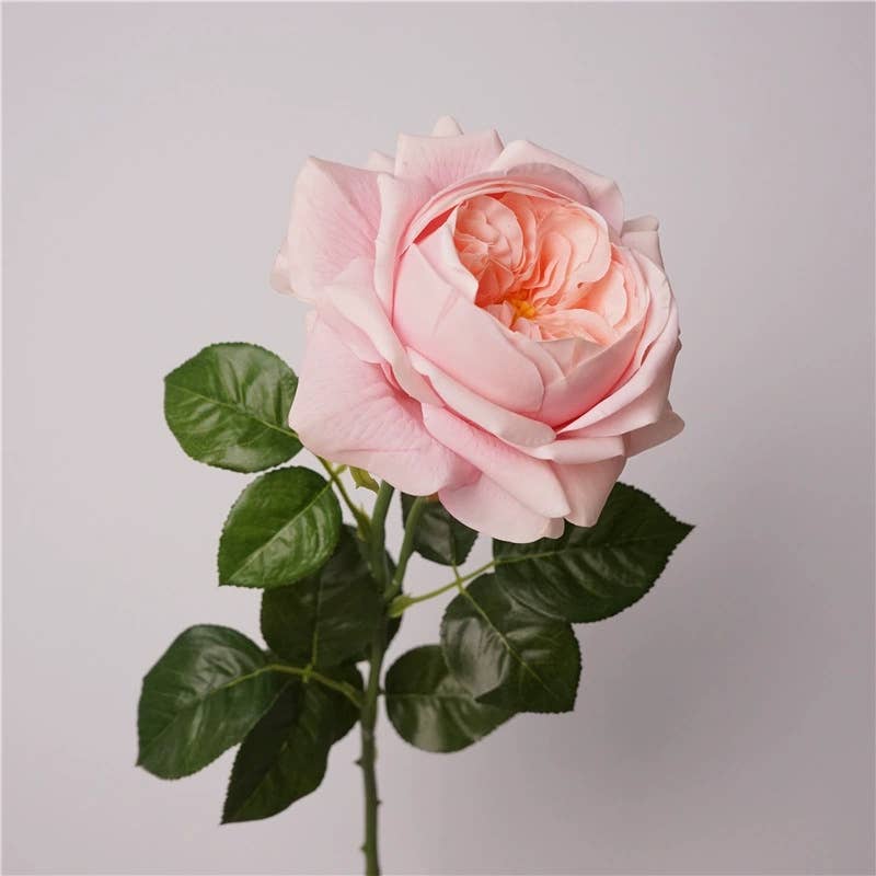 27"-Lux Faux Juliet Rose-Moisturizing Finish-5"Bloom