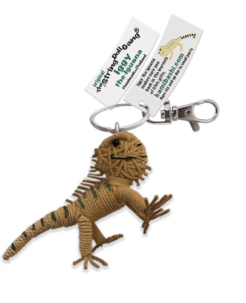 Iggy the Iguana