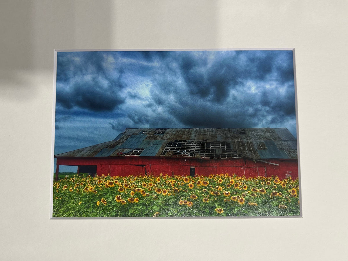 Mural of sunflowers on a wall with a reflection below