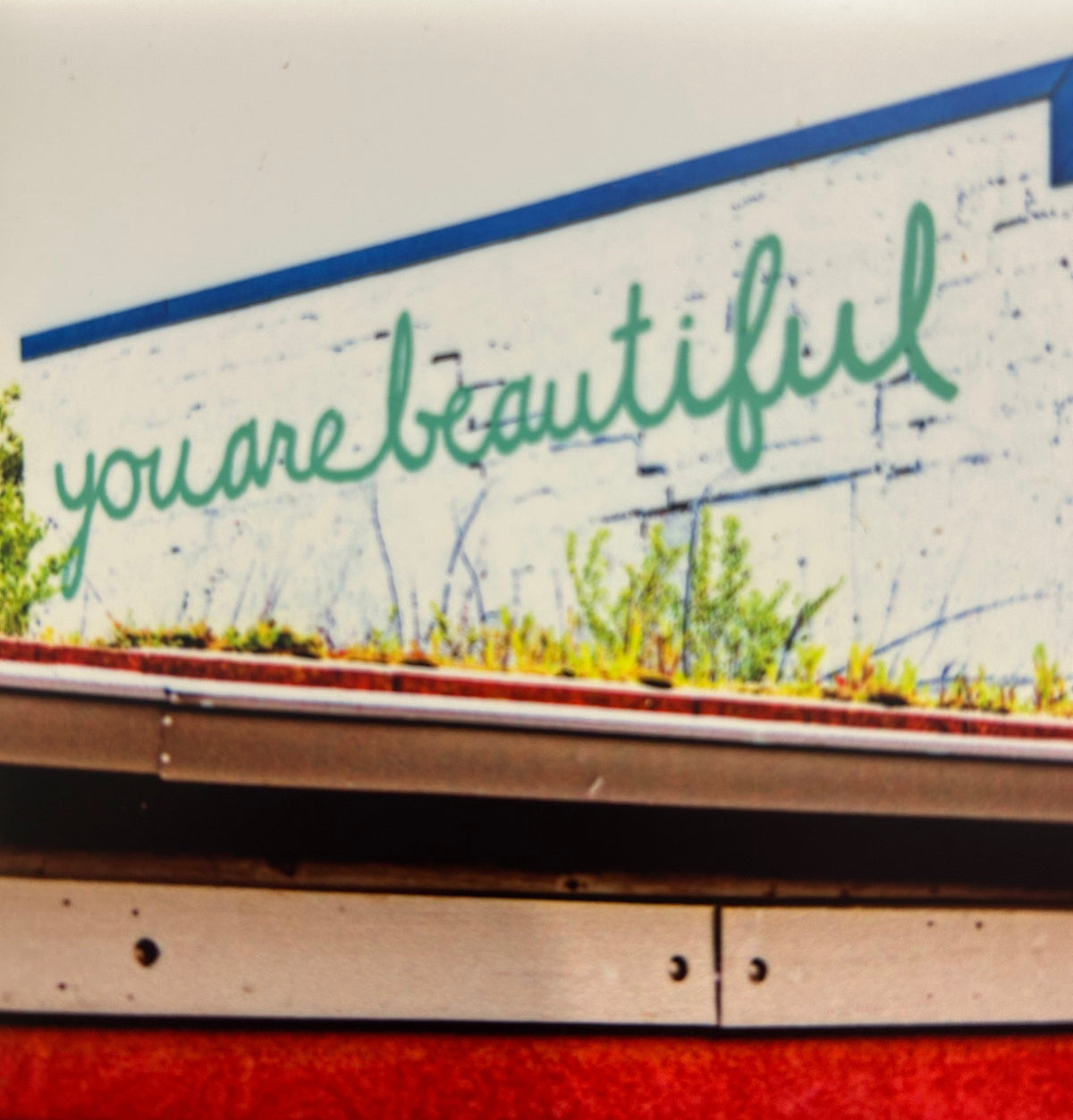 Coasters Quotes, Fun Sayings, and Wall Art