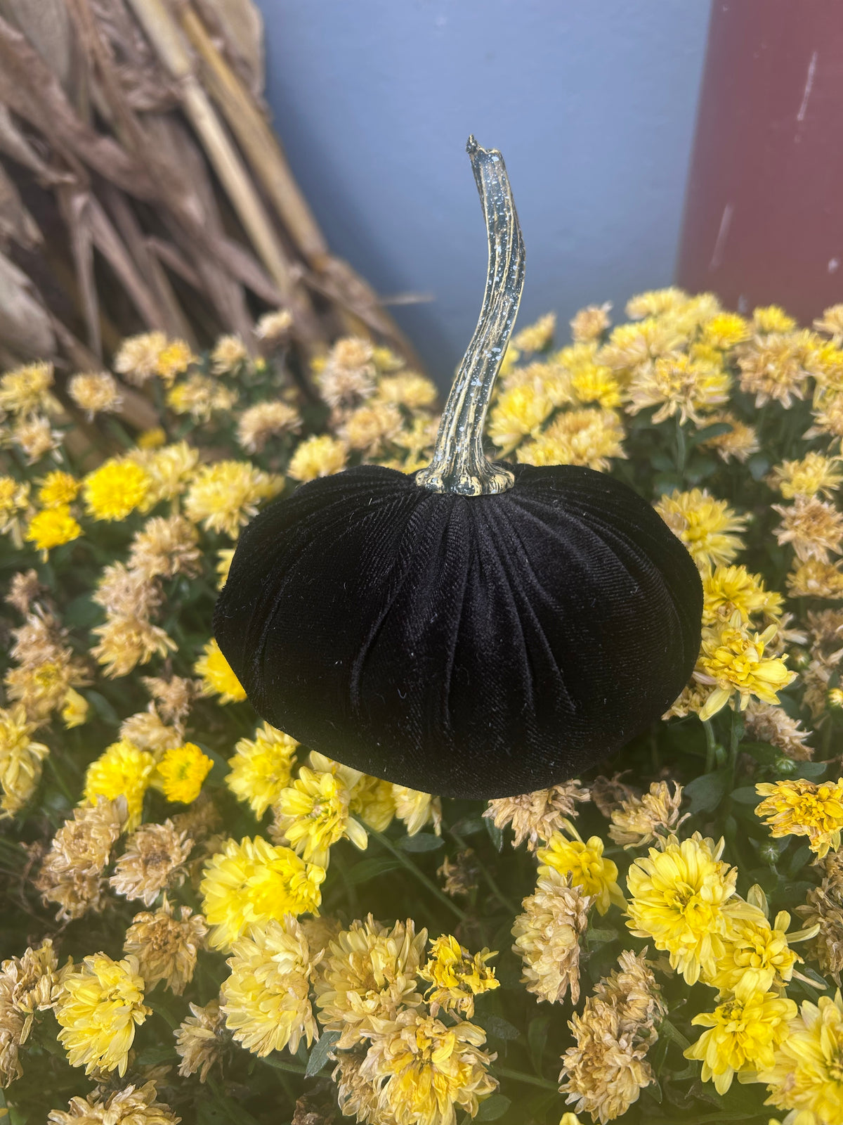 Velvet Pumpkins
