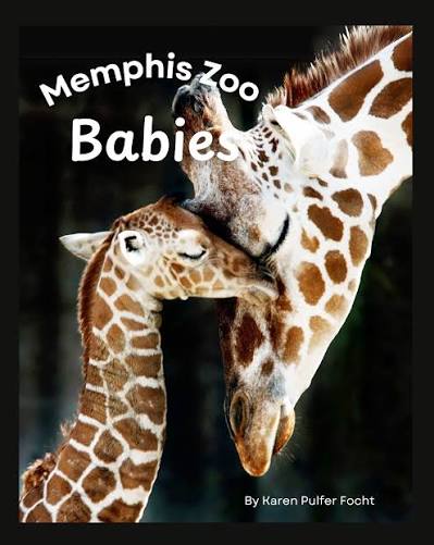 Memphis Zoo Babies by Karen Pulfer Focht of Memphis Tenn