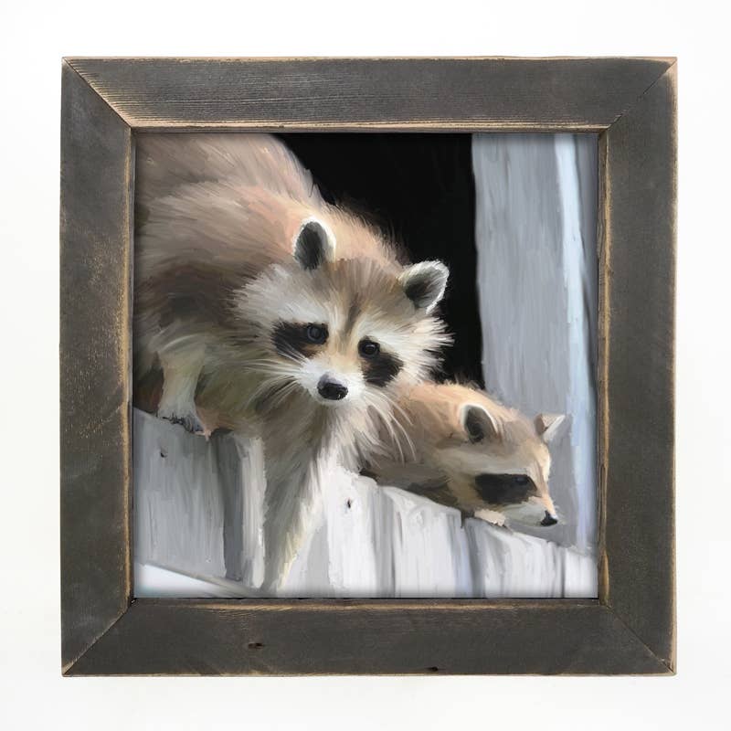 Raccoons