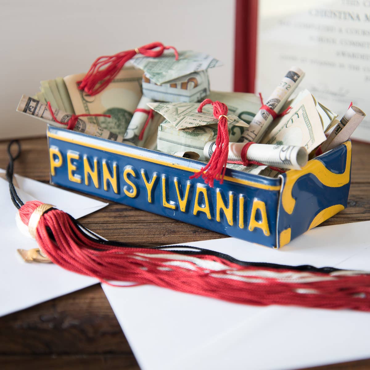 License Plate Tray