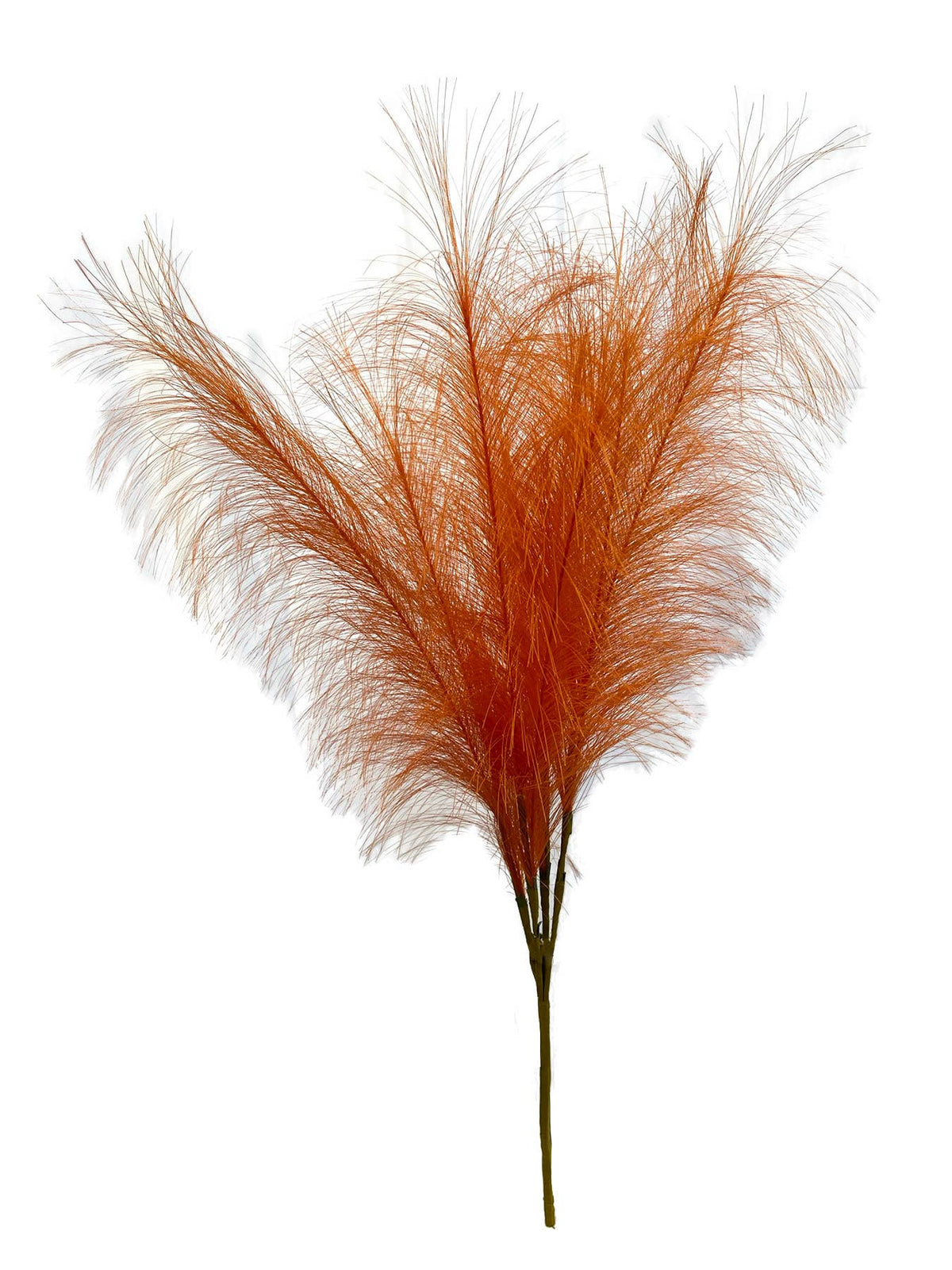 PLUME STEM, RUST ORANGE