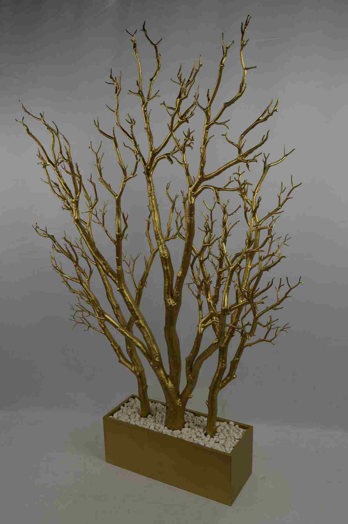 Dormant Tree With Pot