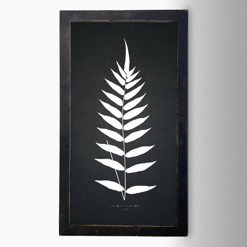 Fern 1 bw