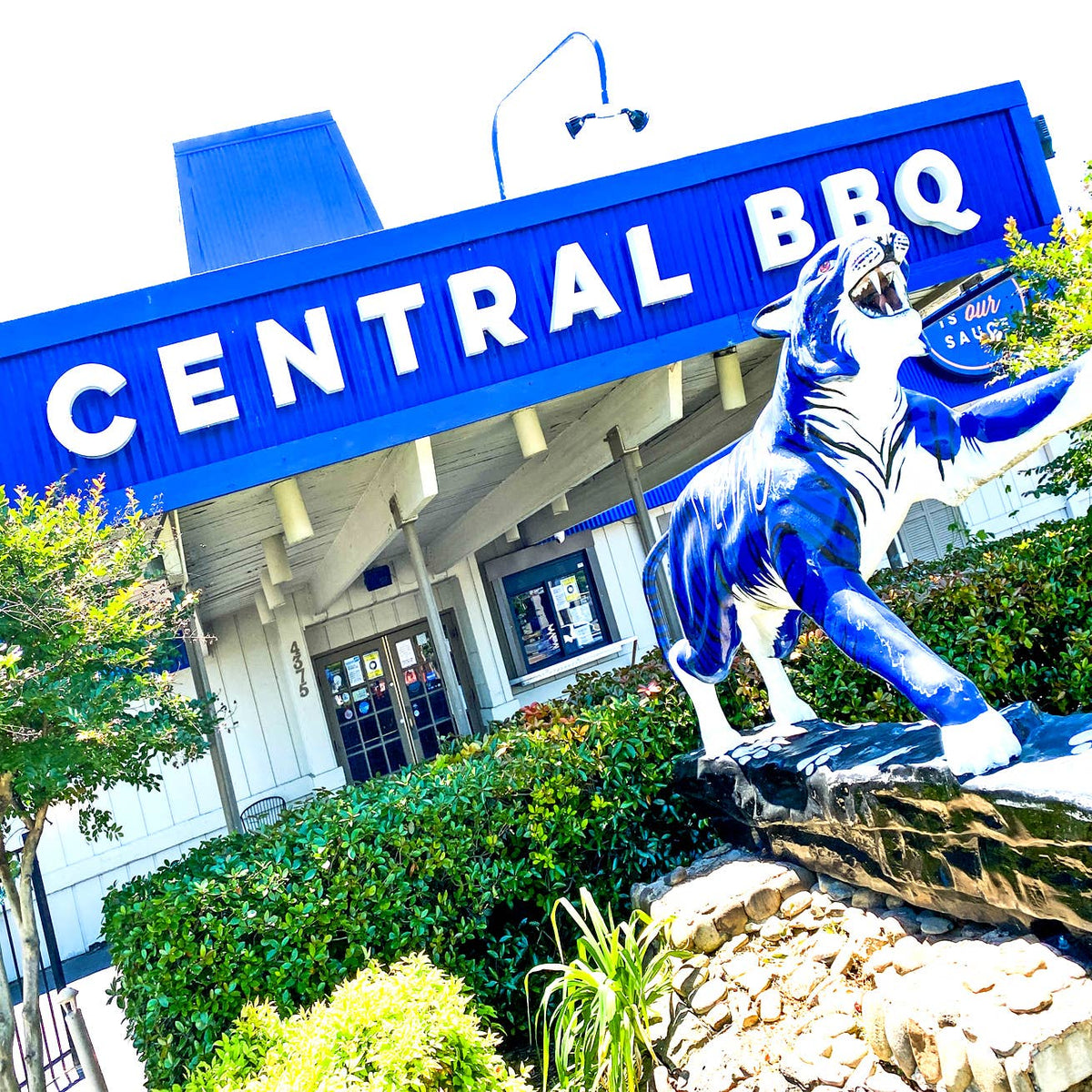 Memphis BBQ and Chicken Coaster's