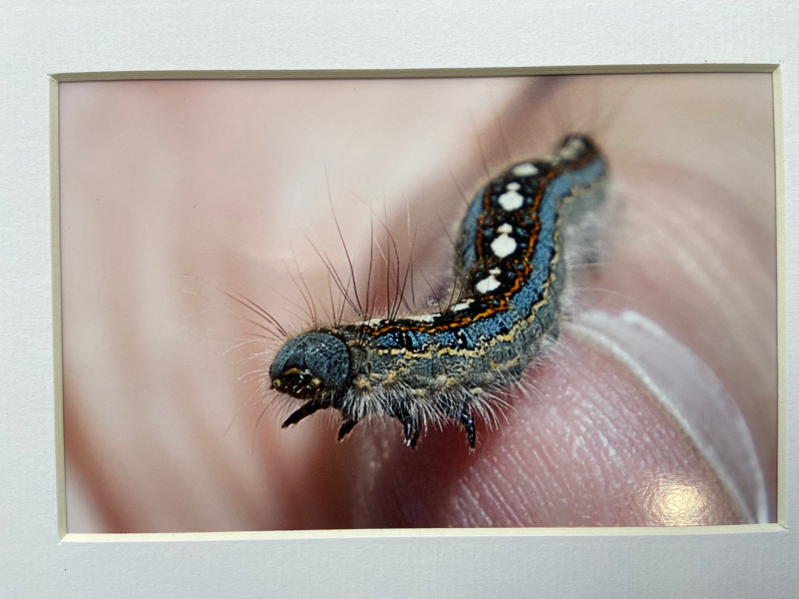 202 End of the Road PHOTOGRAPH by Mike Baber