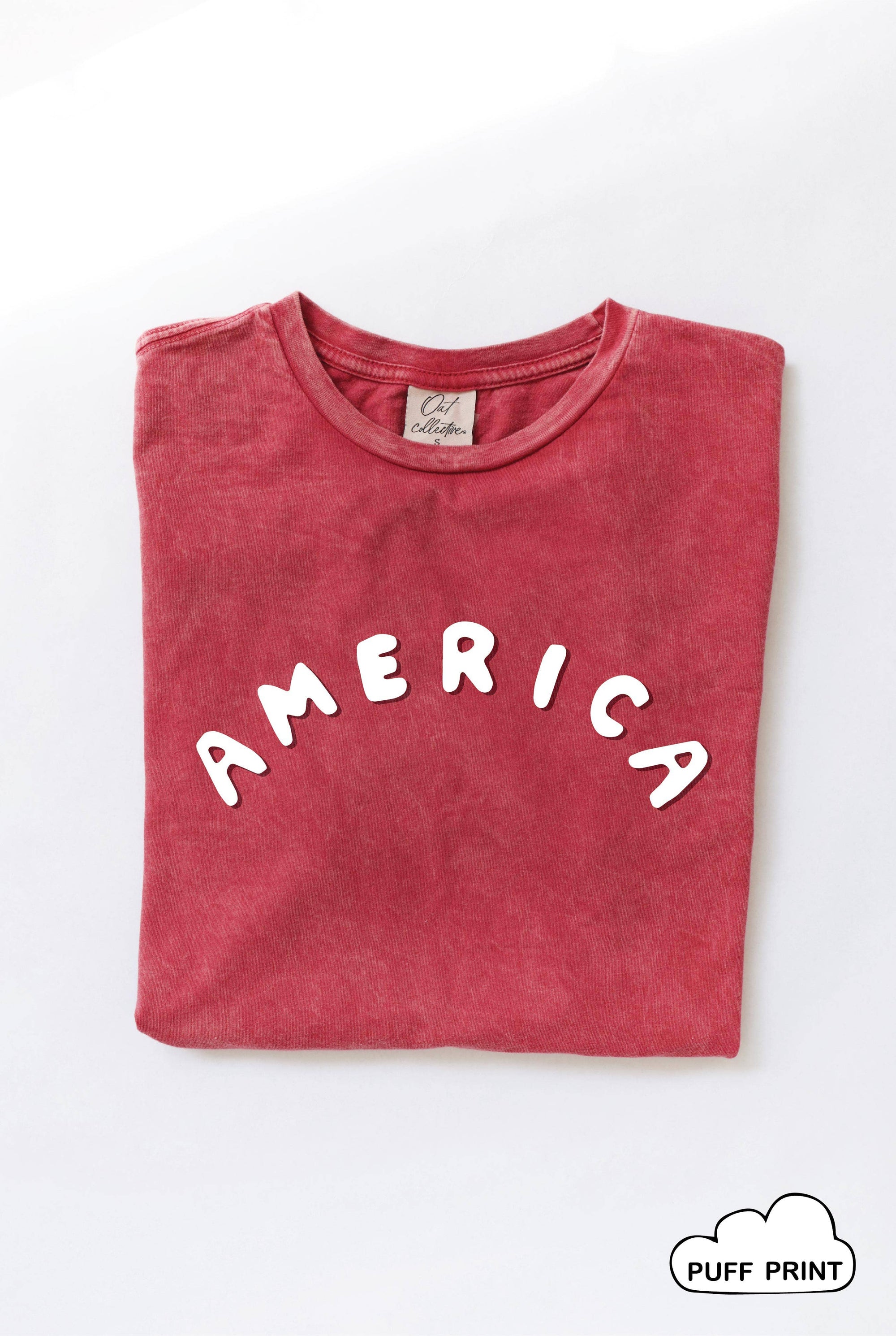 AMERICA - Puff Print Mineral Washed Graphic T Shirt