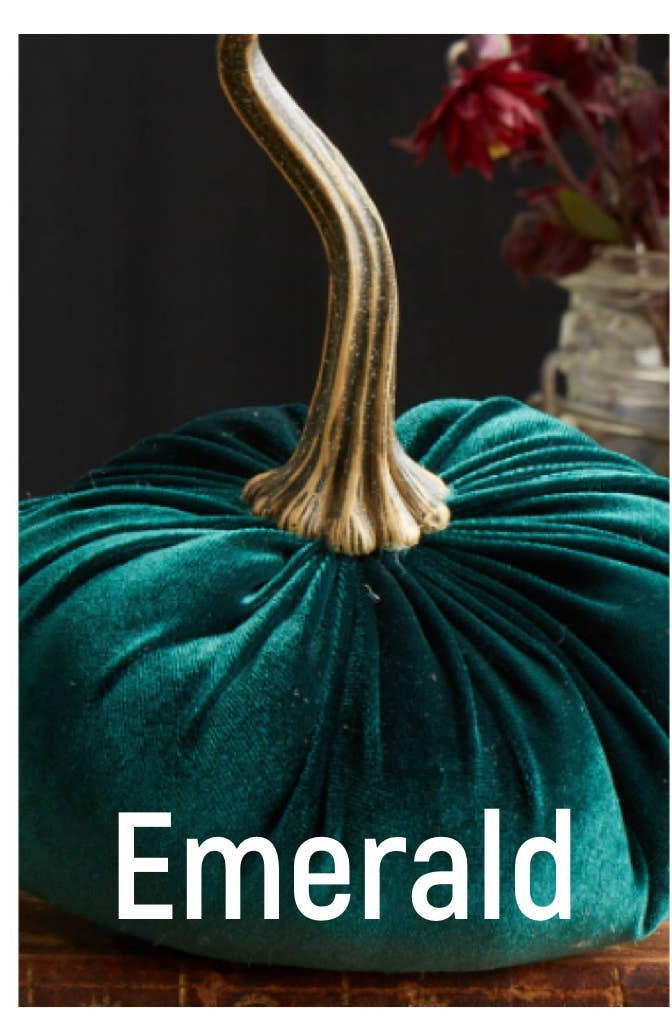 Velvet Pumpkins