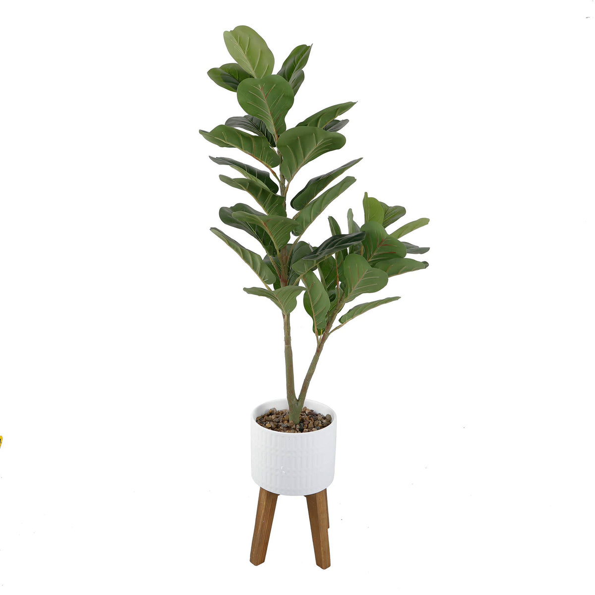 46“ Fiddle-leaf in 8” Roman Cement Pot on Wood Stand