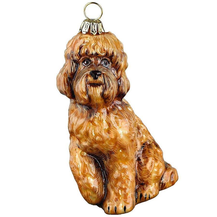 Labradoodle Brown