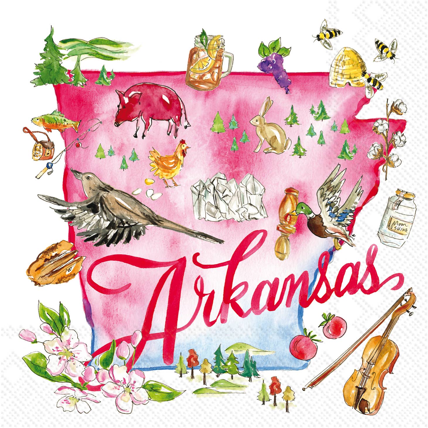 ARKANSAS Paper Cocktail Napkins 20 ct AR  State Collection