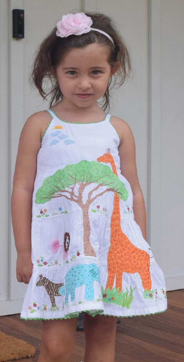 Safari Dress
