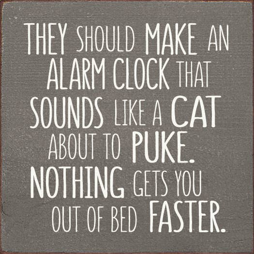 They should make an alarm clock that sounds like a cat..: Old Anchor Gray