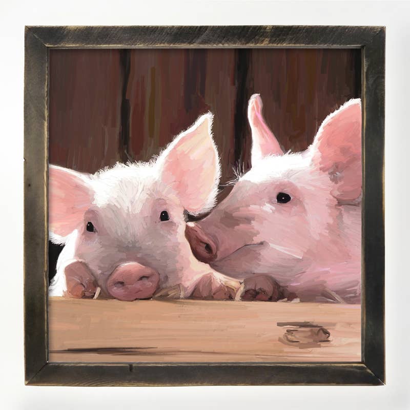 pigs