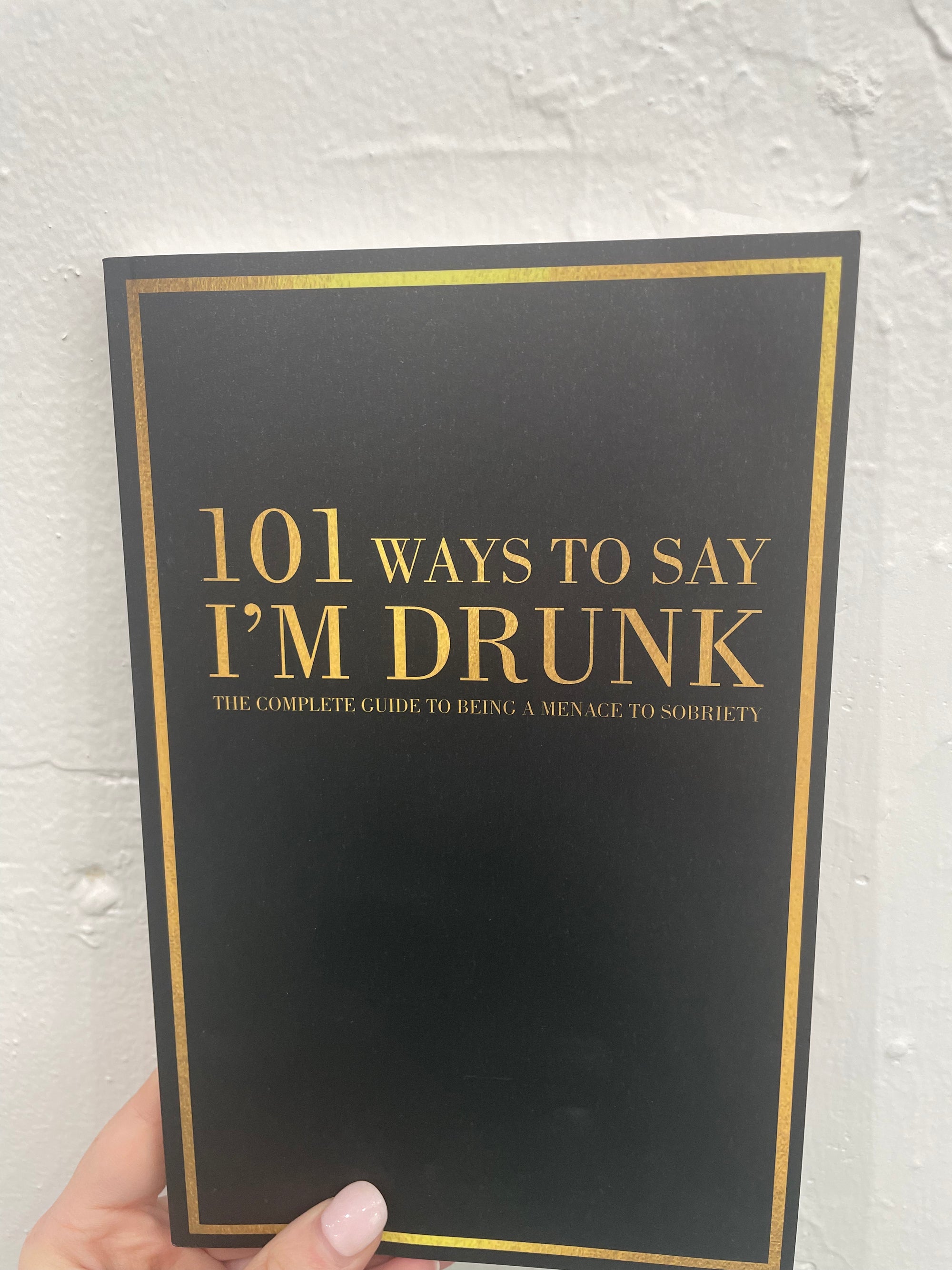 '101 Ways To Say I'm Drunk' Book by Ryan Lubker