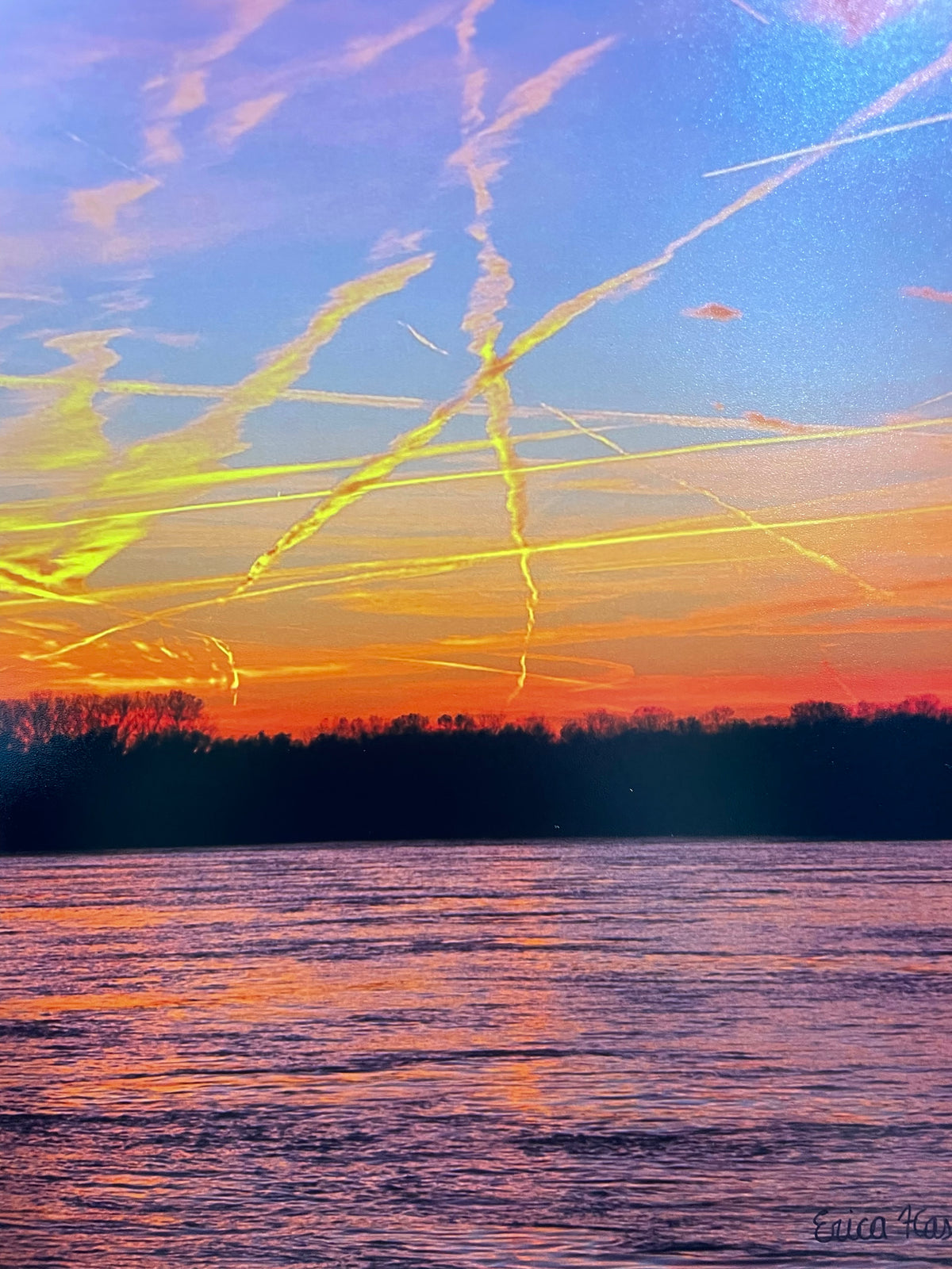 Photographs by Erica Haskett