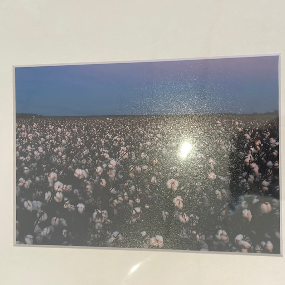 "Cotton Harvest Moon" Matted Photograph by Karen Pulfer Focht