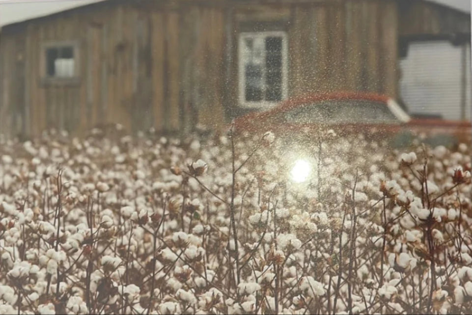 "Cotton Rusty Car" Matted Photograph by Karen Pulfer Focht